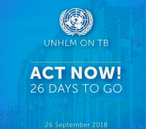 Preview image for 12 days to 26 September! Together let’s secure Heads of State participation at the UN HLM on TB